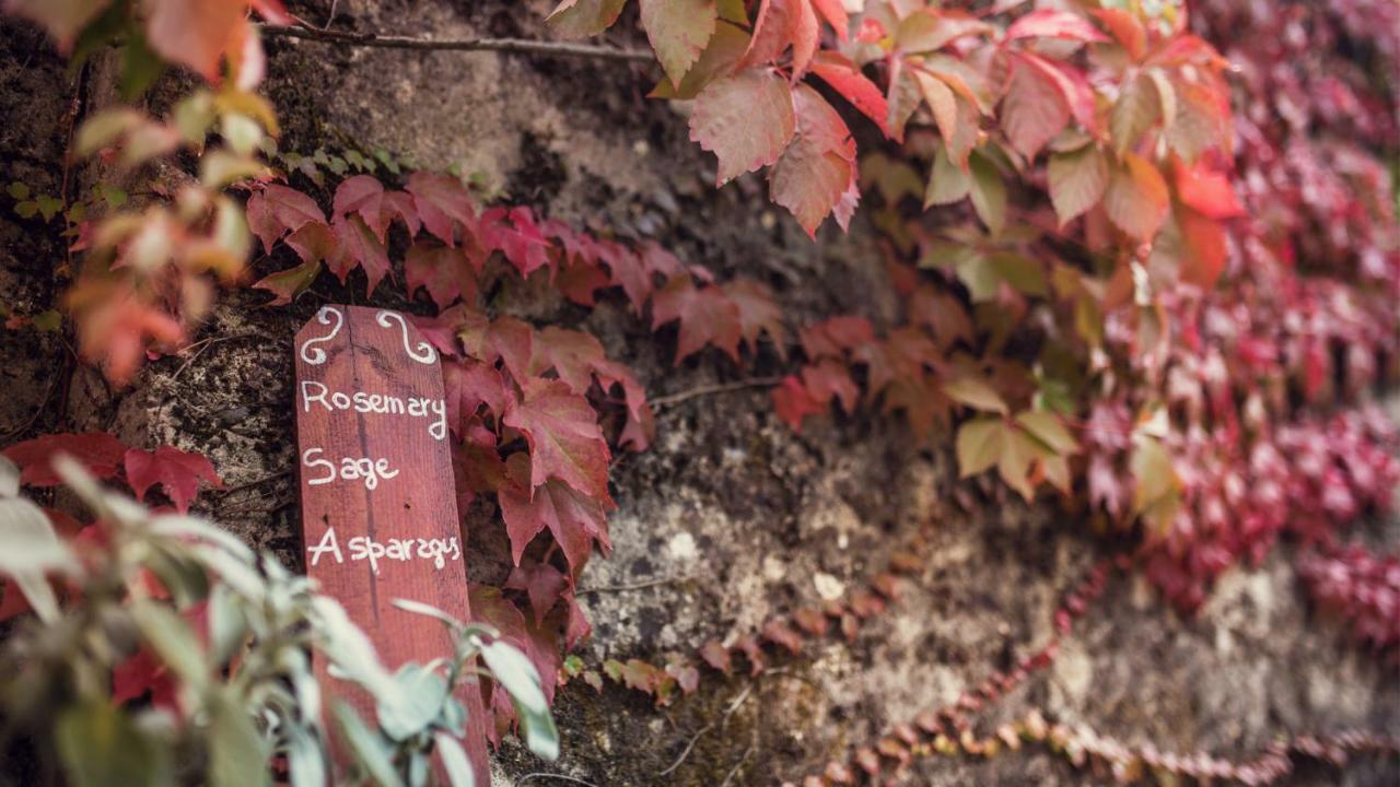 Villa Nuba,Con Private Spa Room, Camino A Legna Ogni Comfort, In Campagna A Due Passi Dal Cuore Del Centro Storico Di Perugia Ngoại thất bức ảnh